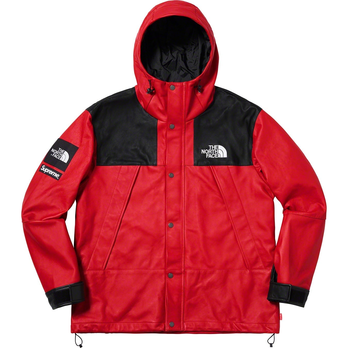 Supreme®/The North Face® Leather Mountain Parka view 9